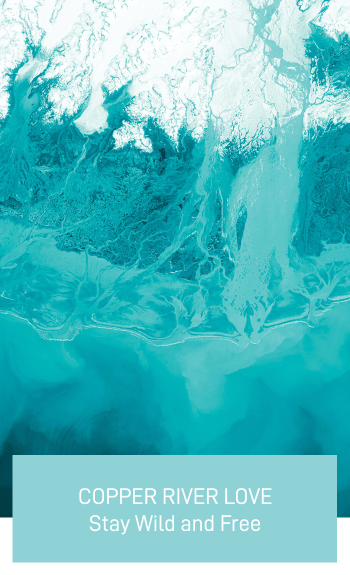 NASA satellite image of Copper River Delta