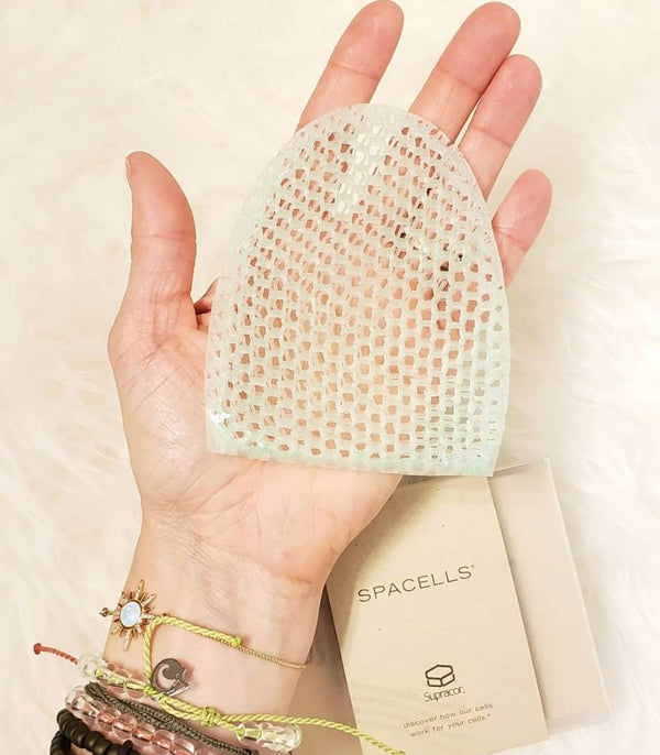 facial sponge in hands